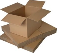 Bao bi carton